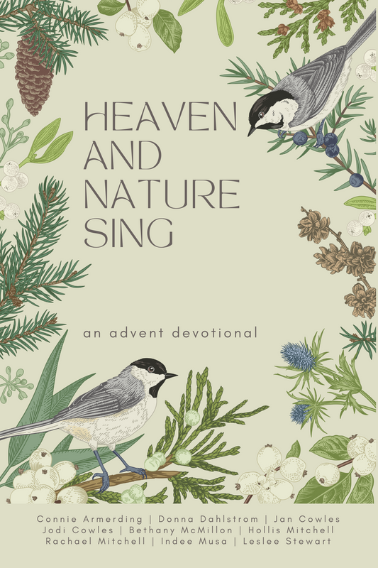Heaven and Nature Sing Paperback